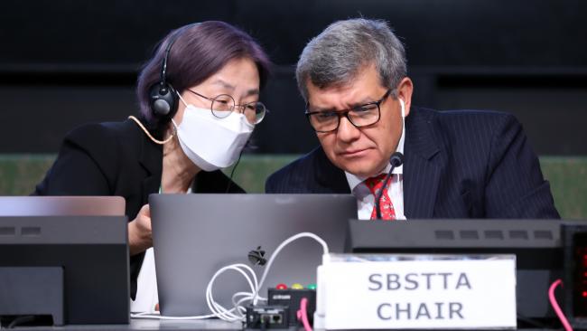 Jihyun Lee, CBD Secretariat, with SBSTTA Chair Hesiquio Benítez Díaz
