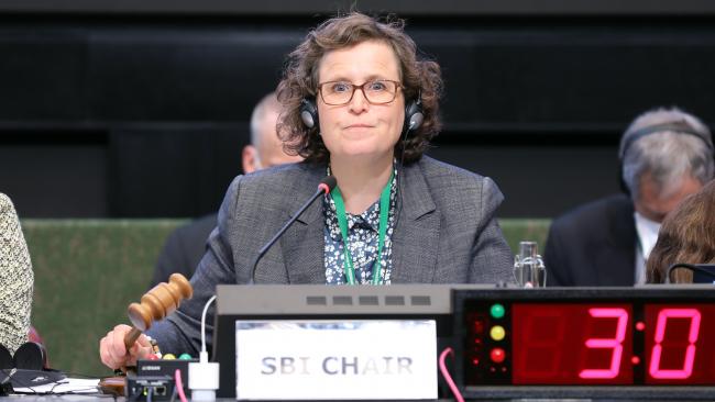Charlotta Sörqvist, SBI Chair