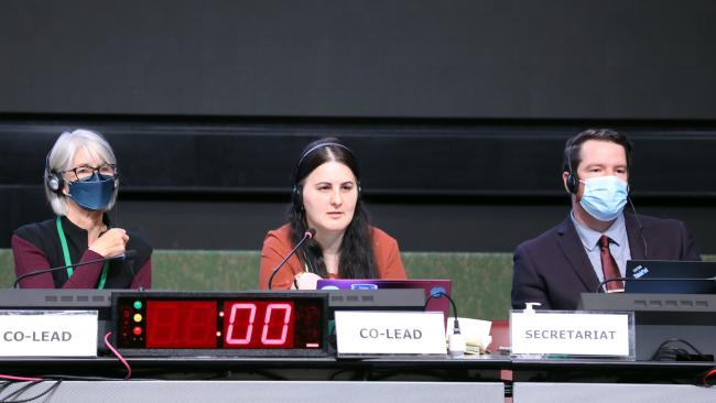 From L-R: Rosemary Paterson, New Zealand; Teona Karchava, Georgia; and Joseph Appiott, CBD Secretariat