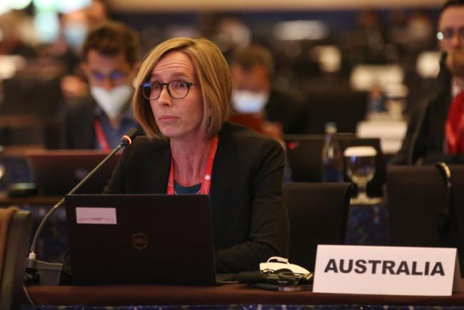 Co-Chair for the Contact Group on Review of Annexes A and B, Nicola Powell, Australia