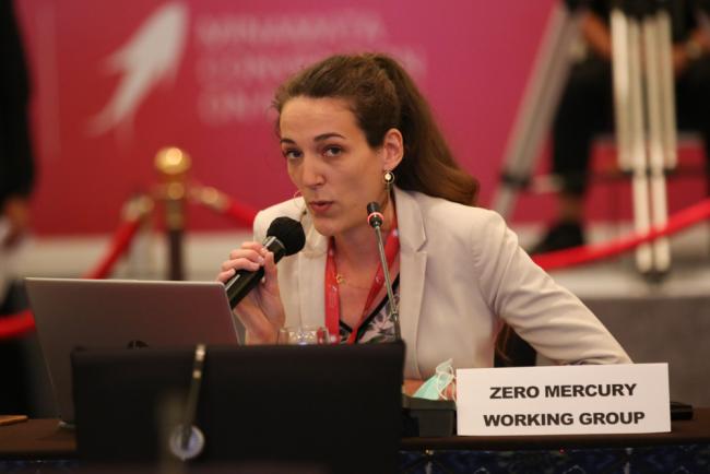 Charline Cheuvart, Zero Mercury Waste Group