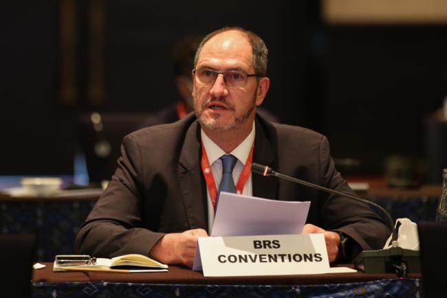 Carlos Martin-Novella, Basel, Rotterdam and Stockholm (BRS) Conventions Deputy Executive Secretary