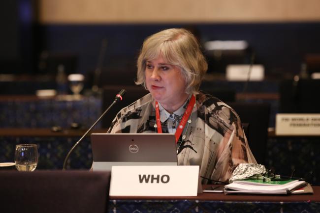 Lesley Jayne Onyon, World Health Organization (WHO)