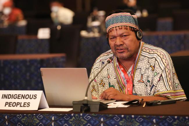 Júlio Cusurichi, Native Federation of the Madre de Dios River and Tributaries (FENAMAD)