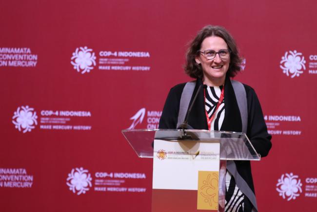 Monika Stankiewicz, Minamata Convention Executive Secretary
