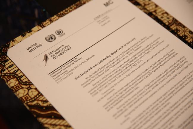 The Bali Declaration