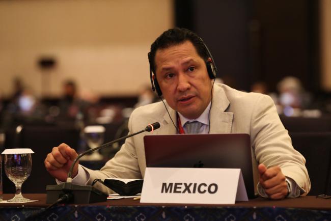 Ricardo Ortiz Conde, Mexico