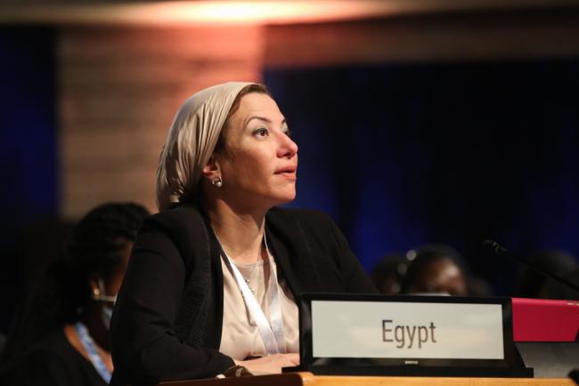 Yasmine Fouad, Minister of Environment, Egypt