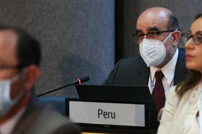 Mariano Castro, Vice Minister of Environmental Management, Peru