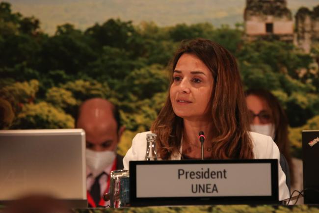 UNEA President Leila Benali, Morocco