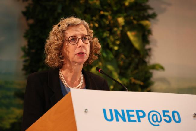 Inger Andersen, Executive Director, UNEP