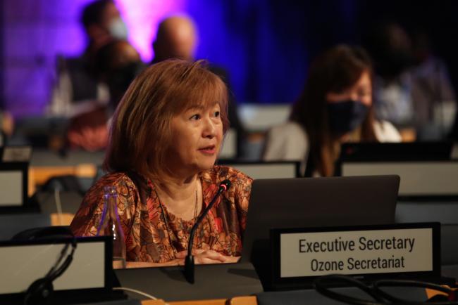 Meg Seki, Executive Secretary, Ozone Secretariat