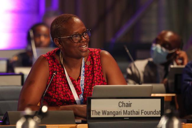 Wanjira Mathai, Chair, The Wangari Maathai Foundation