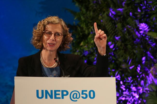 Inger Andersen, Executive Director, UNEP