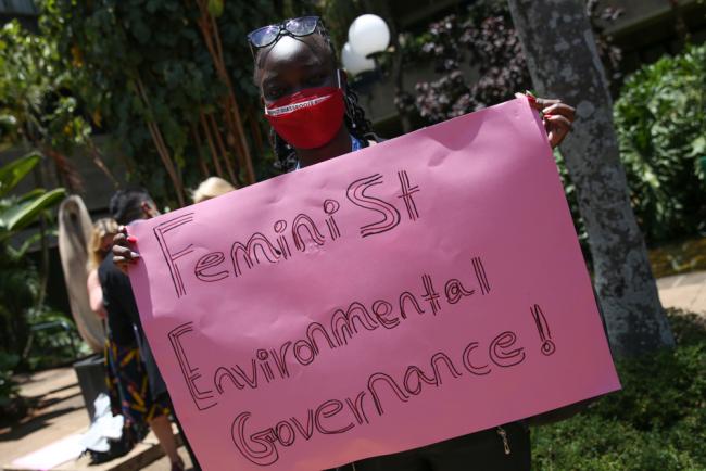 Feminist environmental governance