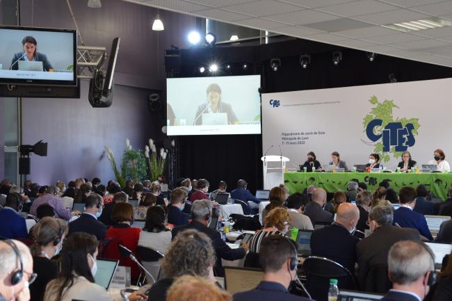  View of the Plenary © CITES