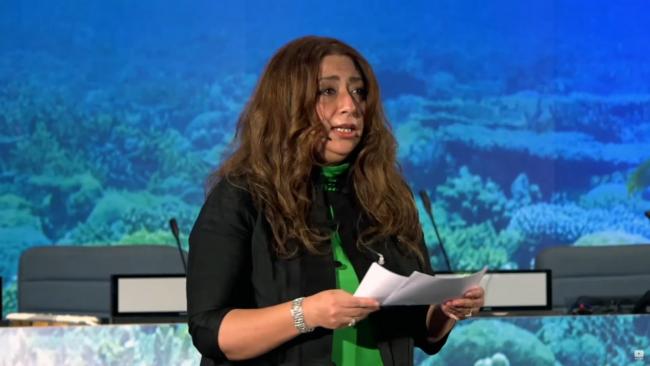 Shereen Zorba, Head, Secretariat of the UN Science-Policy-Business Forum on the Environment