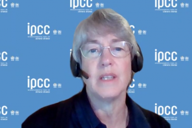 Annette Cowie, Chapter 12 Lead Author - IPCC56 - 31Mar2022 - Photo