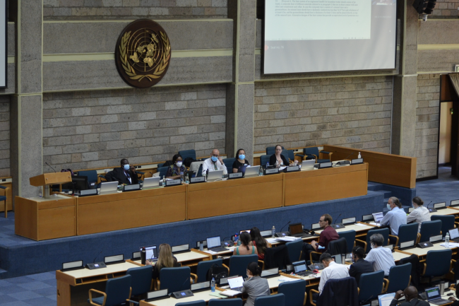  Contact Group on Technical Matters - OEWG12 - 5April2022 - Photo
