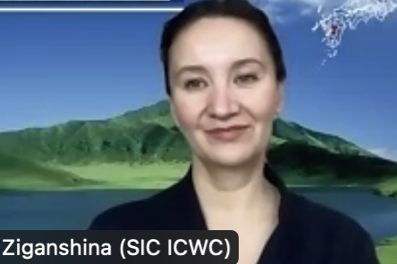 Dinara Ziganshina (SIC ICWC) - Governance - 4th APWS - 24April2022 - Photo.png