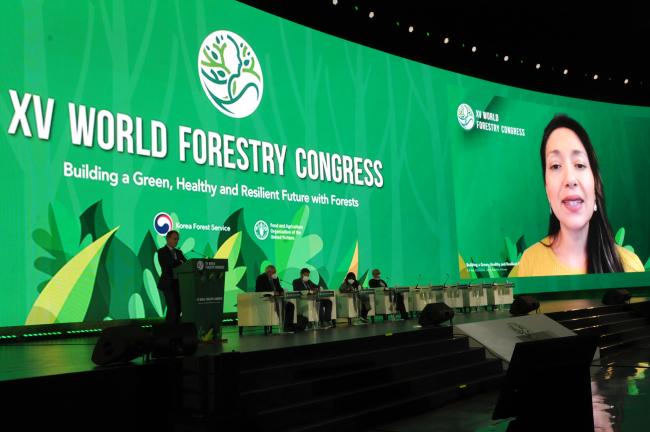 Adriana Vidal, Chair, Global Partnership on Forest and Landscape Restoration