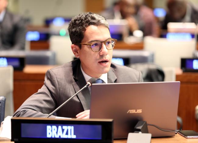 Delegate from Brazil