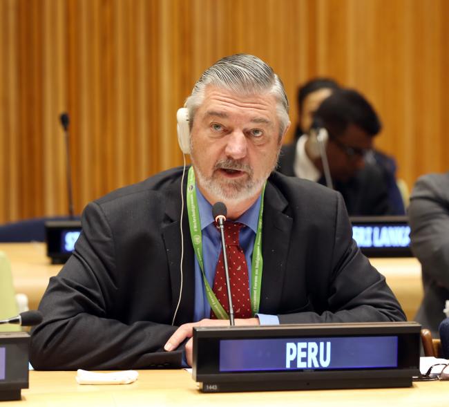 Delegate from Peru