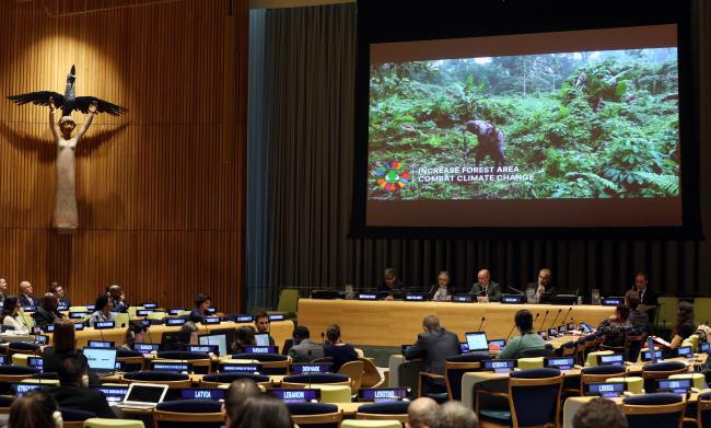 Delegates in plenary 