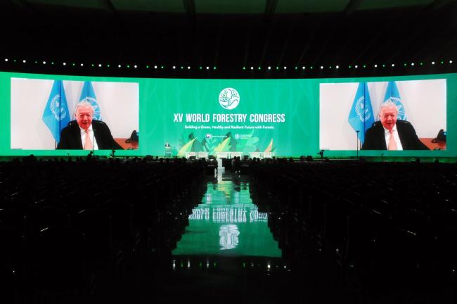 Hans Hoogeveen, Independent Chairperson, FAO Council