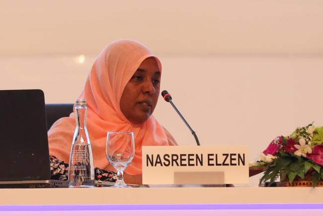 Nasreen Elzen, Ministry of Water Resources and Irrigation, Sudan