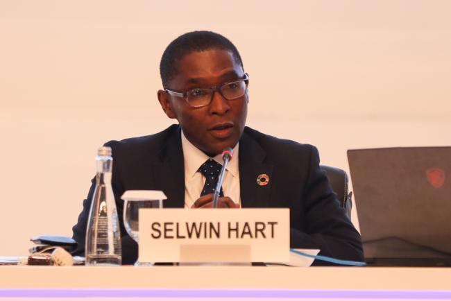 Selwin Charles Hart, Special Adviser to the UN Secretary-General on Climate Action