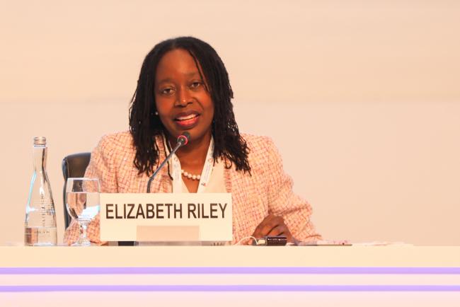 Elizabeth Riley, Executive Director, Caribbean Disaster Emergency Management Agency (CDEMA)