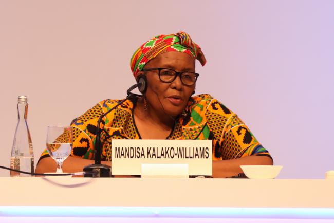 Mandisa Kalako-Williams, Independent Consultant