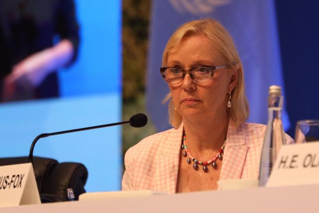 Heidi Schroderus-Fox, Acting High Representative, UN Office of the High Representative for the Least Developed Countries, Landlocked Developing Countries and Small Island Developing States