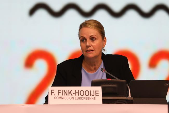 Florika Fink Hooijer, European Commission