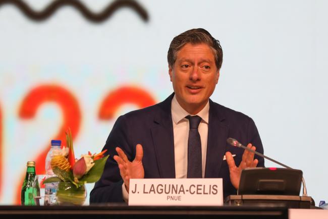 Jorge Laguna-Celis, Secretary, Secretariat of Governing Bodies, UNEP 