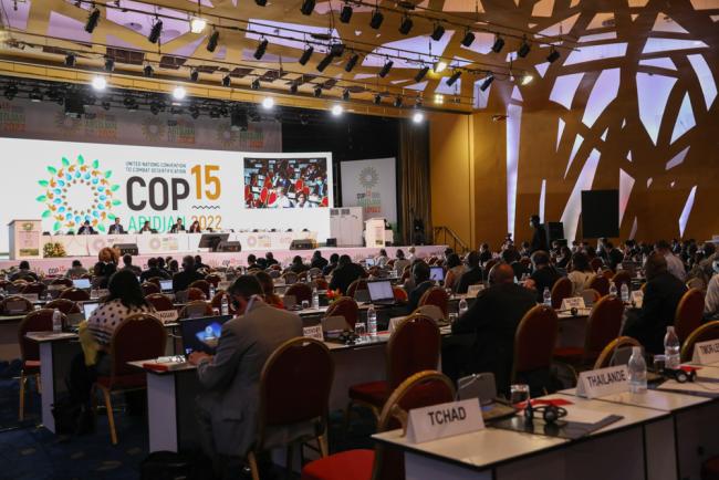 Delegates attend the Committee of the Whole