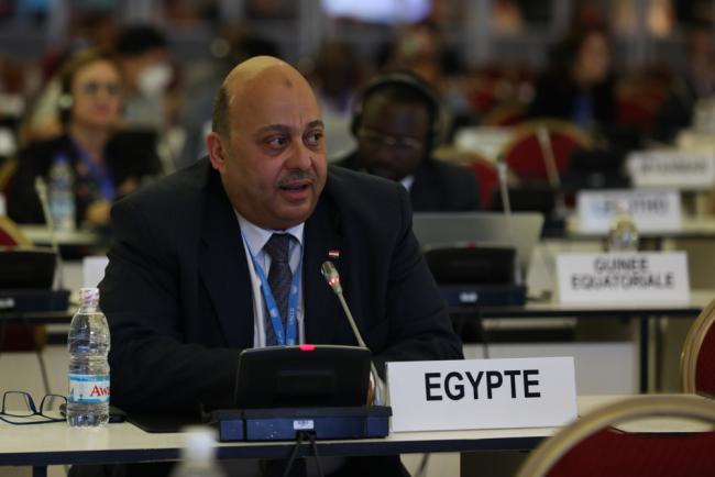 Ahmed Abdelati Ahmed, Egypt, on behalf of the African Group