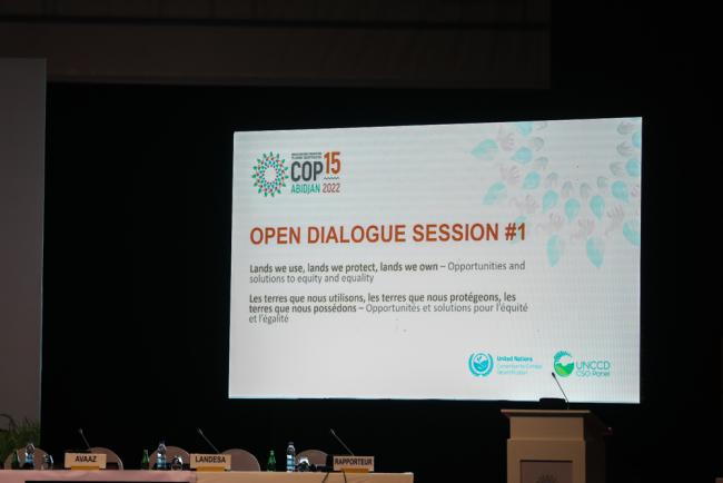 The open dialogue session