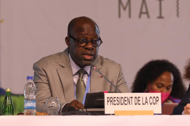 Alain-Richard Donwahi, COP 15 President