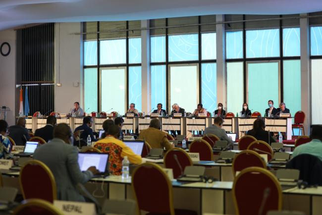 Delegates gather for discussions in the Committee for the Review of the Implementation of the Convention (CRIC)