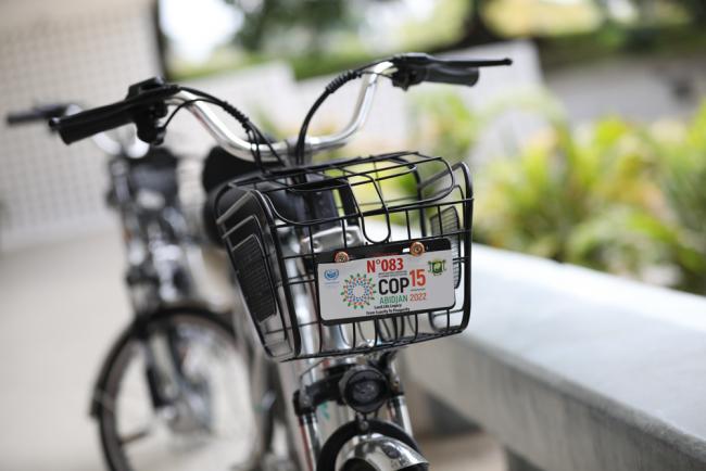 Bicycles available around the venue