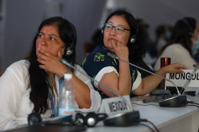 Delegates follow the text being discussed on screen