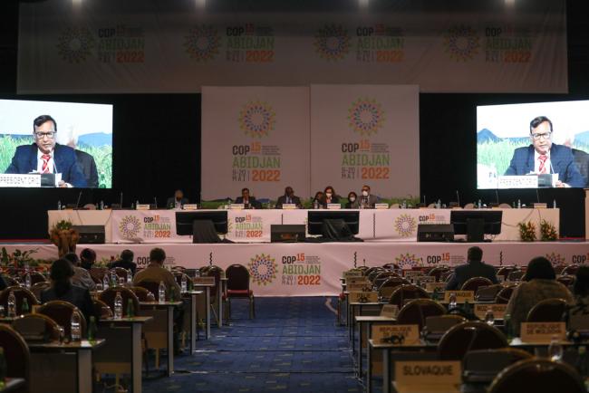 View of the dais during the COP plenary