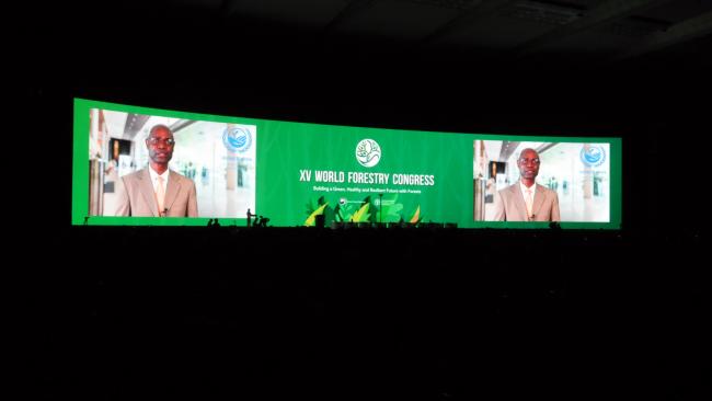 Ibrahim Thiaw, Executive Secretary, UNCCD