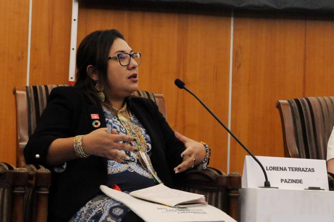Lorena Terrazas, Regional Facilitator for NGOs Major Group, UNEP