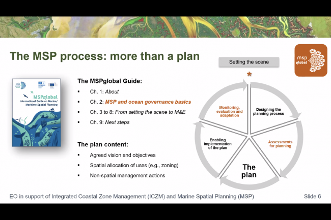 The MSP - More than a Plan