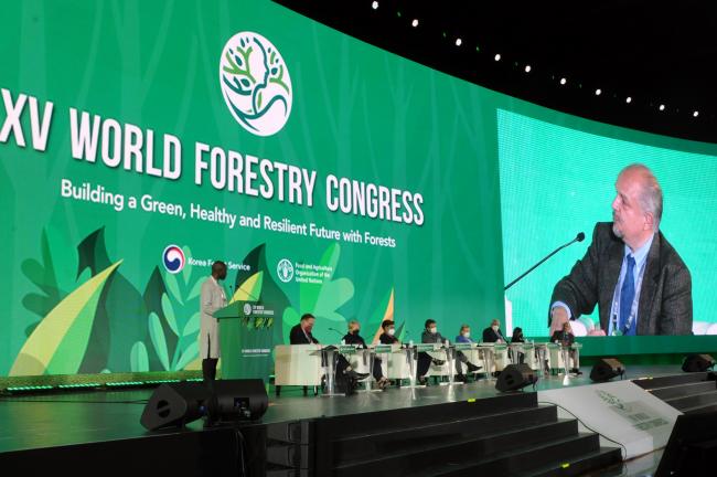 Panelists of session on the State of the World Forests 2022 Technical Launch