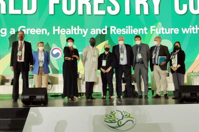 Family photo of the panelists of the session on the State of the World's Forests 2022 Technical Launch