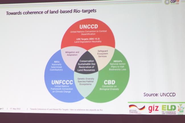 Synergy chart Rio Conventions